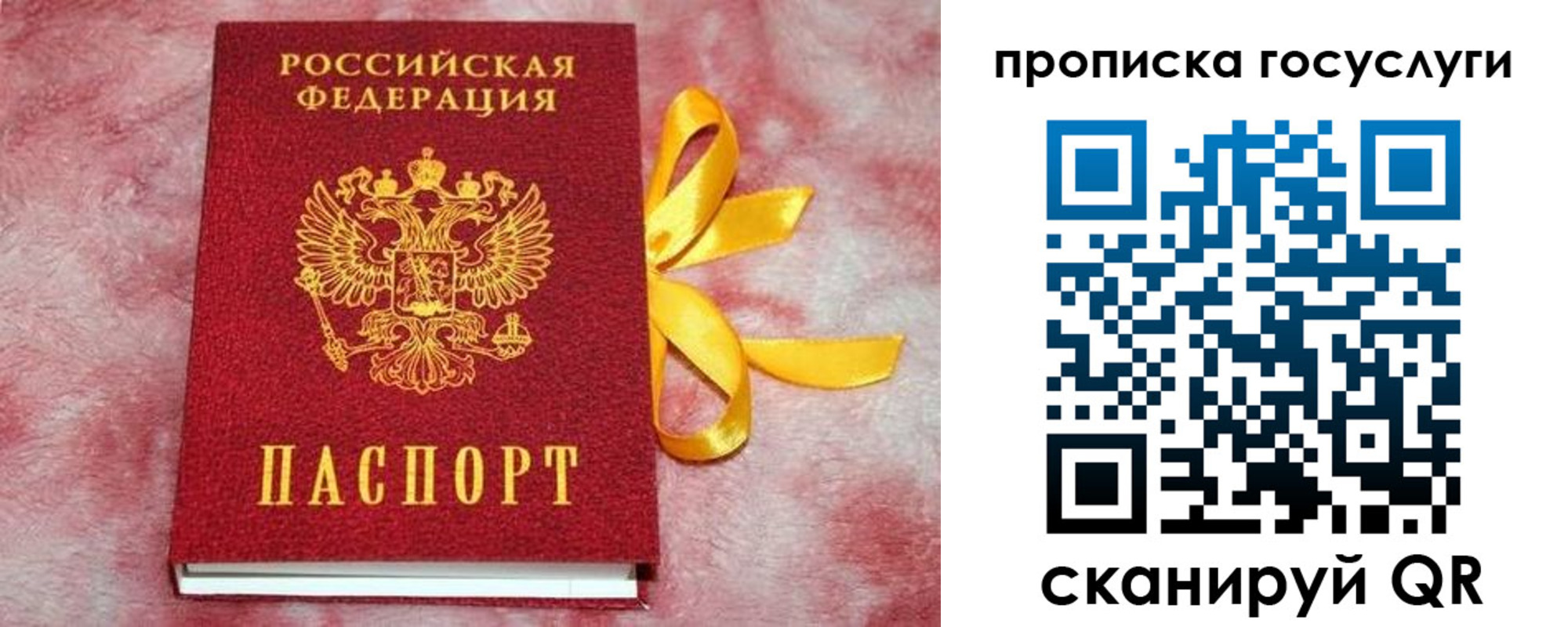 регистрация в Ставрополе
